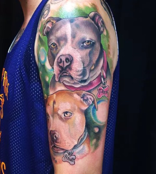 Pitbull Tattoos Designs 3
