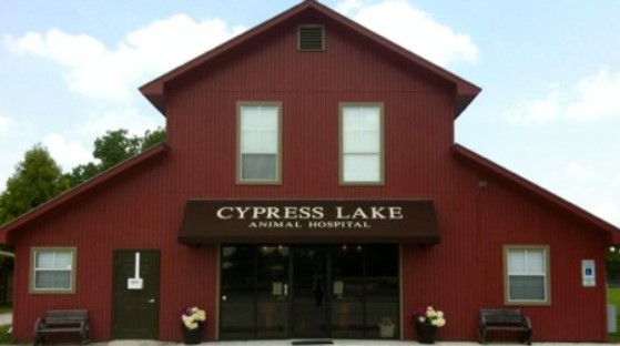 Cypress Lake Animal Hospital