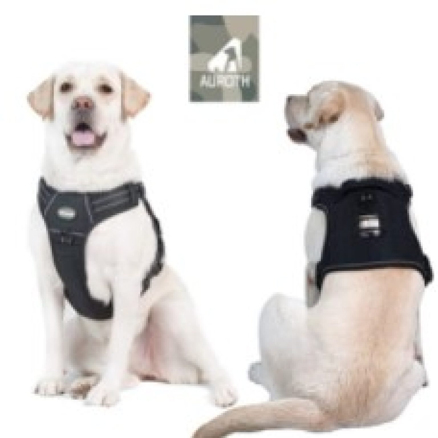 Escape Proof Dog Harness for Pitbull Pitbull Puppies