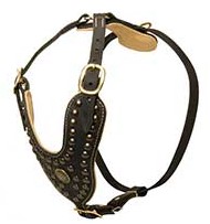 Brass Studded Dog Harness - Studded Leather Dog Harness for Pitbull