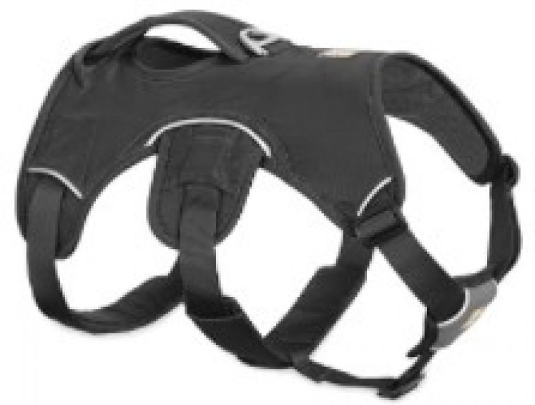Escape Proof Dog Harness for Pitbull Pitbull Puppies