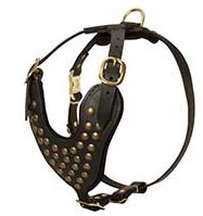 Studded Walking Dog Harness - Custom Leather Dog Harness1