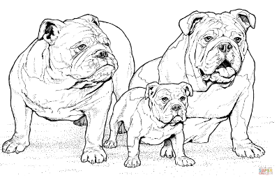 French Bulldog Colouring Pages